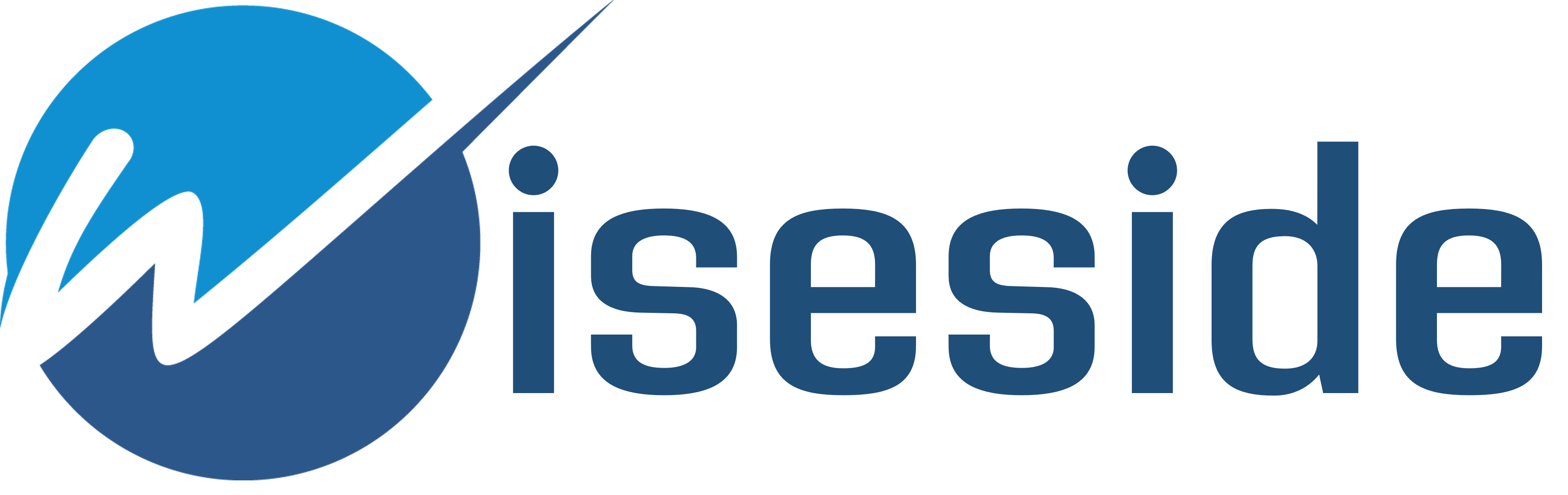 Wiseside srl